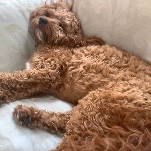 Meet your Posher, Fatima